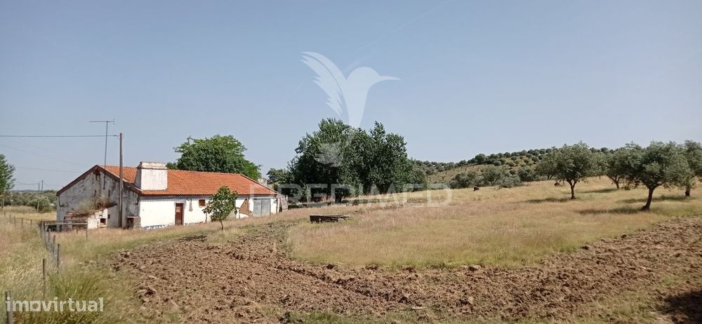 Monte Alentejano 2.3 ha Pavia, Mora