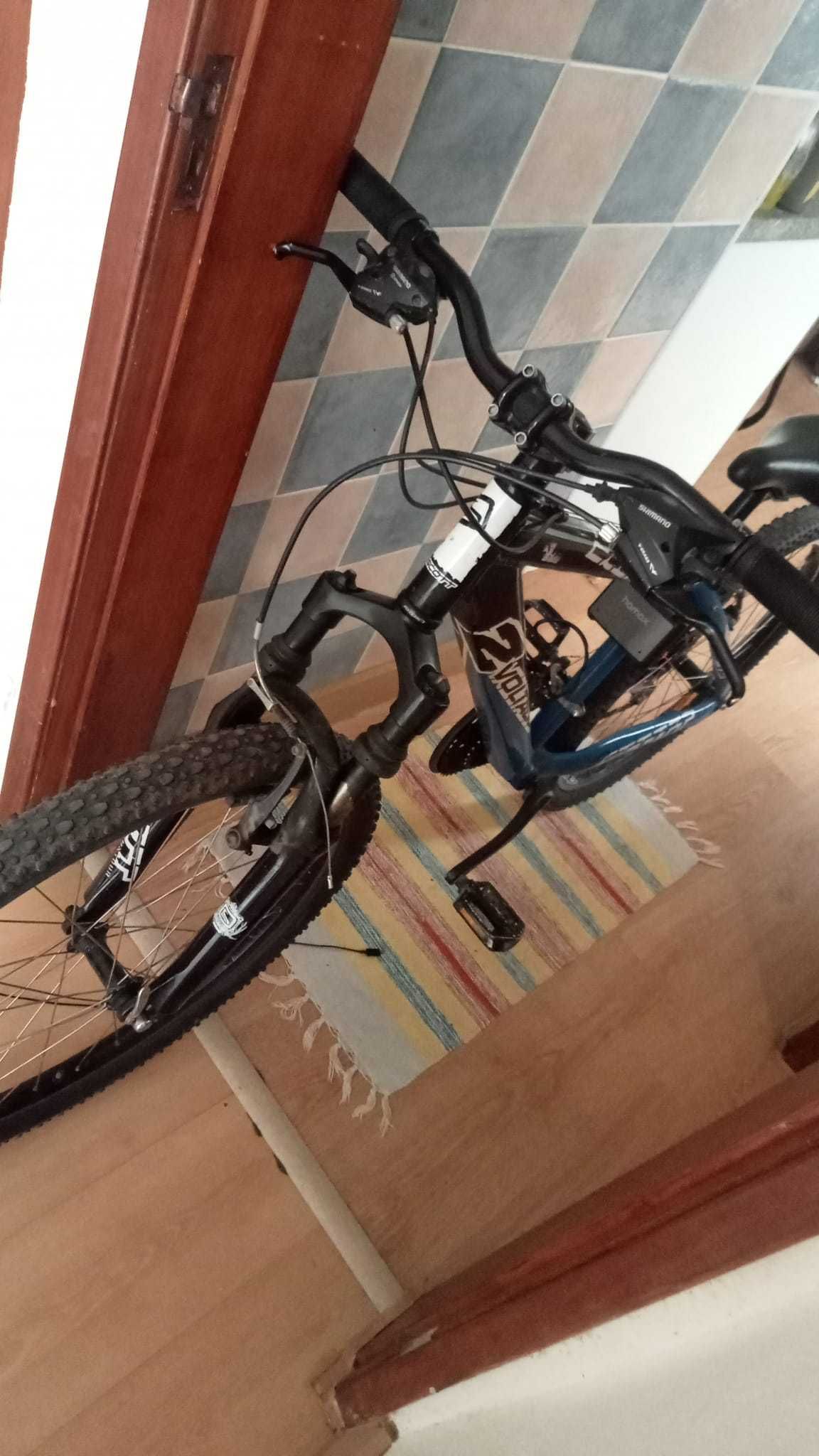 Bicicleta Tamanho Adulto
