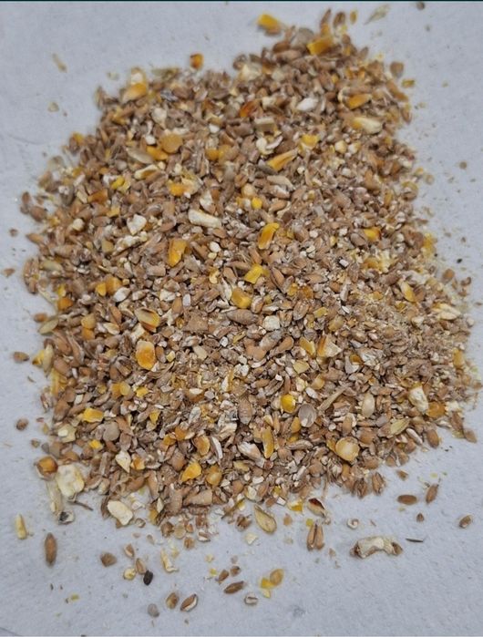 Naturalna Mieszanka Dla Kur Niosek 25kg BEZ GMO