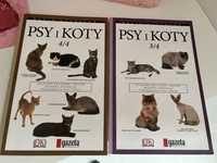 Książki o kotach, koty, rasy kotów