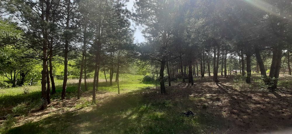 sprzedam dzialke letniskowa