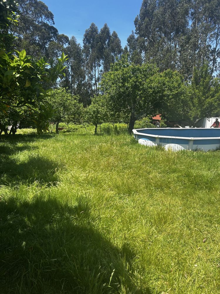 Serviços de jardinagem e limpeza de espaços verdes