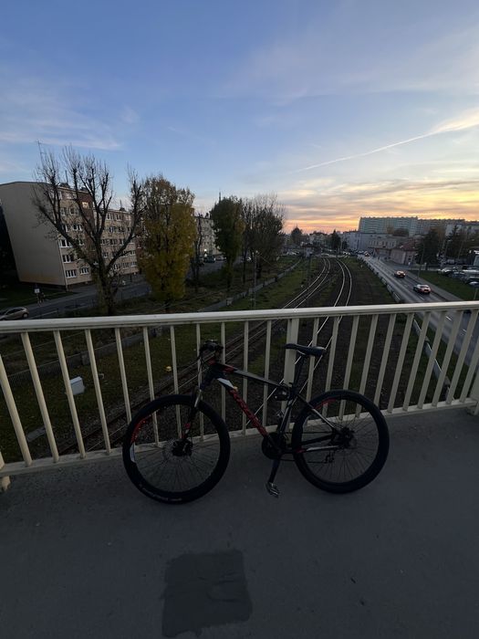 Rower Kross hexagon 3.0