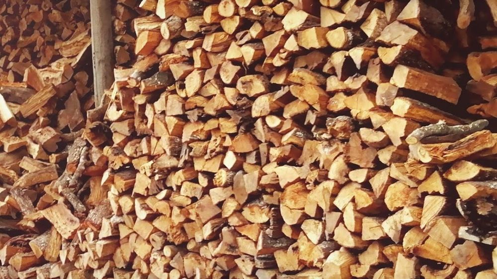 Madeira completamente seca ao saco ou tonelada