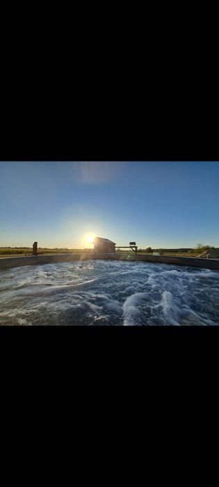 Mobilna Balia Ogrodowa -wynajem