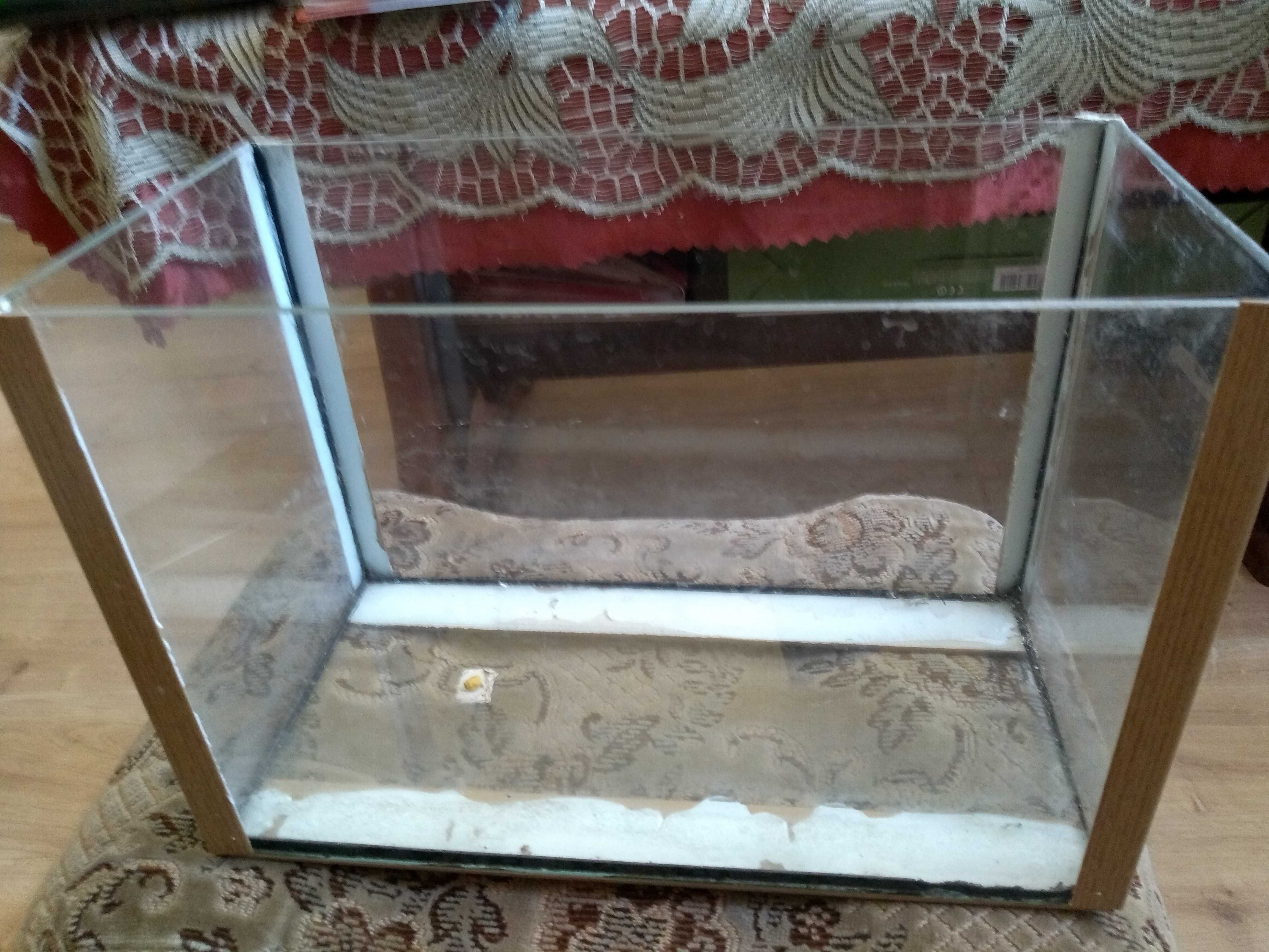 terrarium na sprzedaż