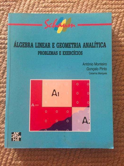 Álgebra Linear e Geometria Analítica - Problemas e Exercícios