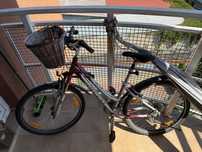 Rower damski Giant Sedona 21