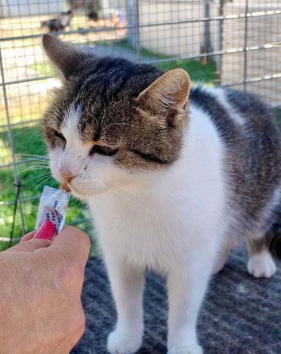 Krysia prosi o dom ...