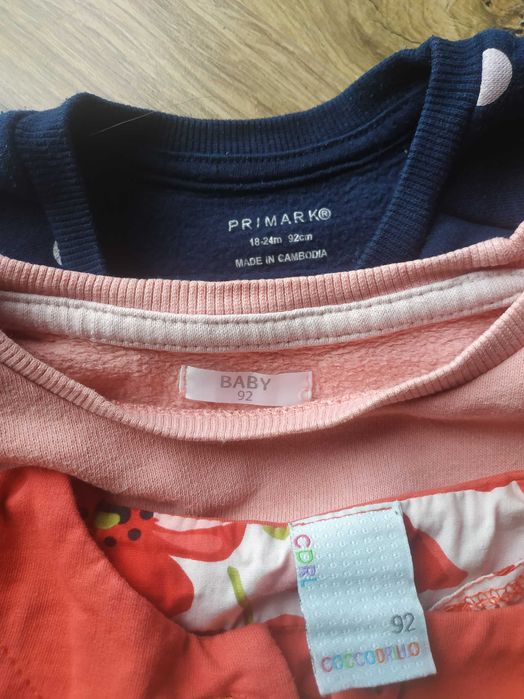 Kurteczka zimowa, spodnie zimowe, bluzy dla dziewczynki 92