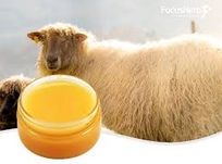 Натуральный Ланолин Lanolin марка фарм Бельгия