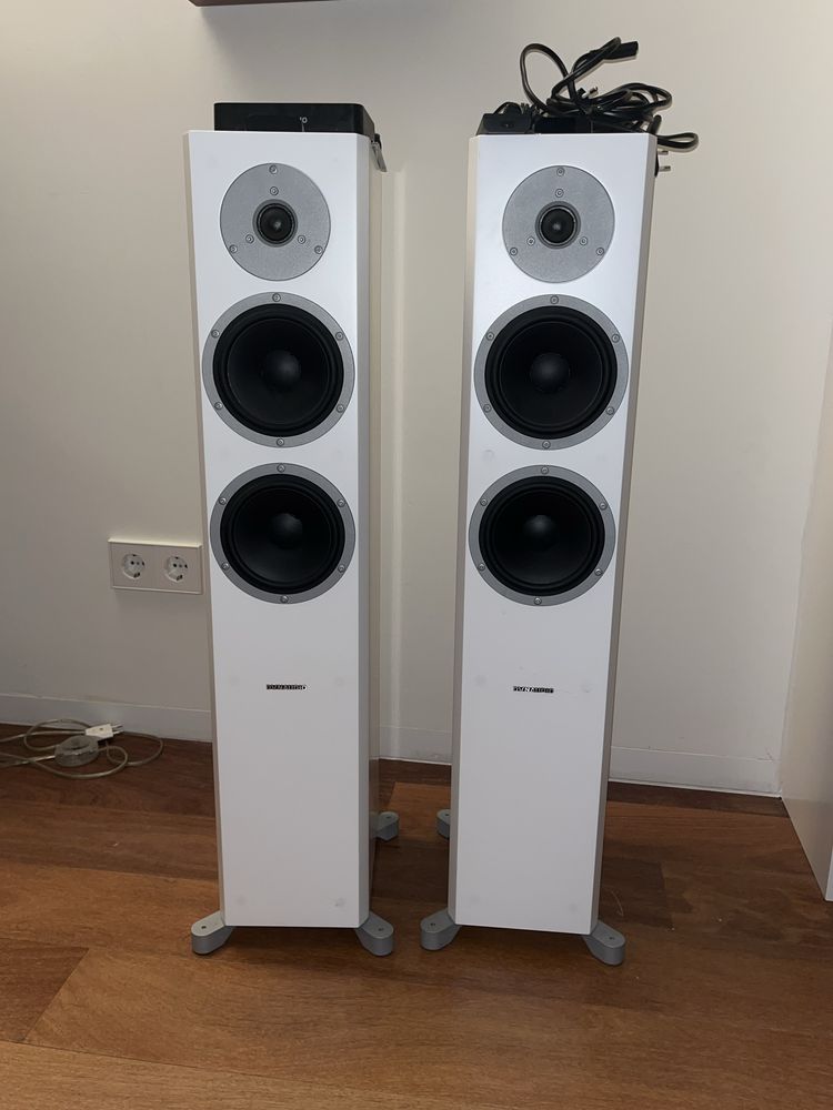 Coluna de som da dynaudio modelo xeo 6