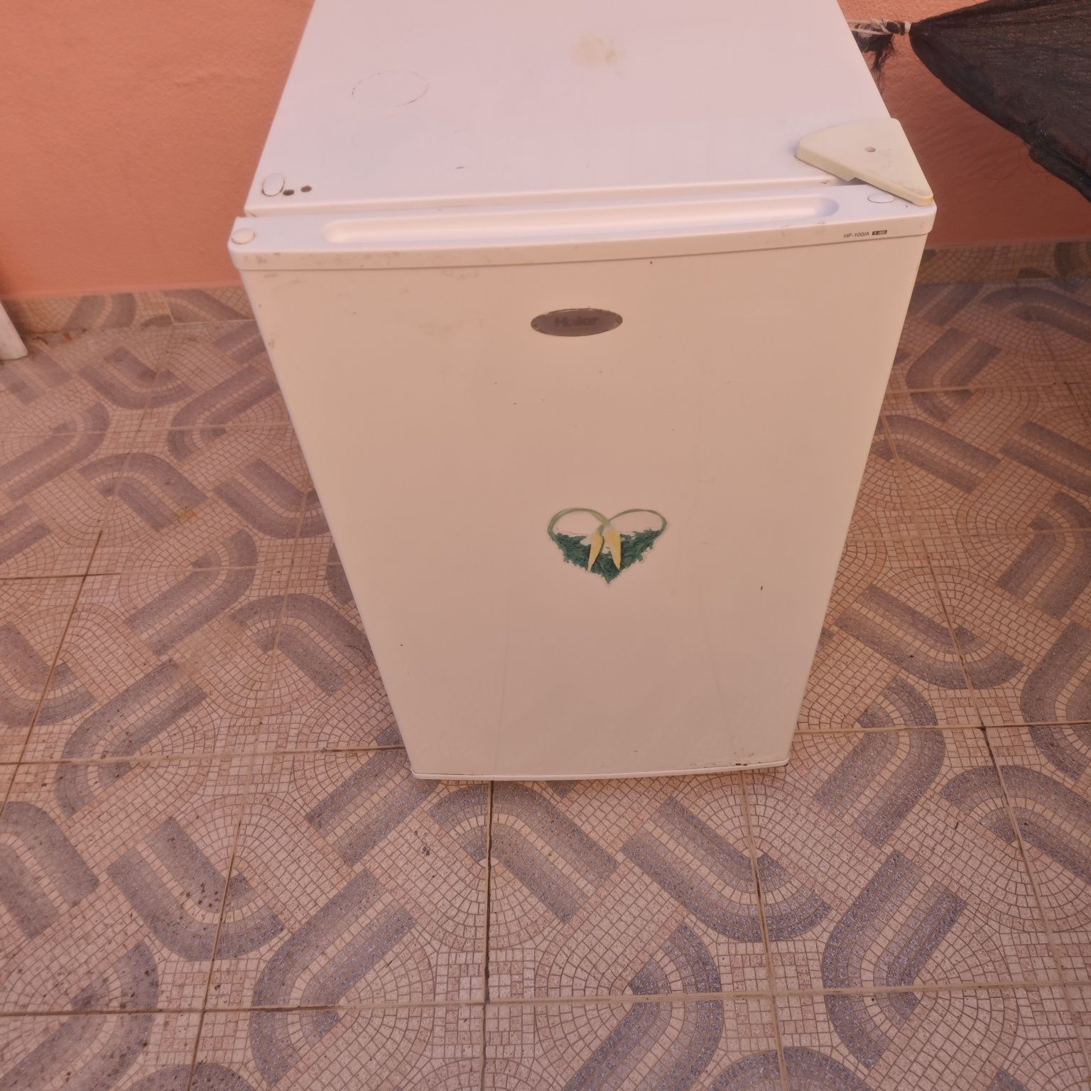 Arca congeladora