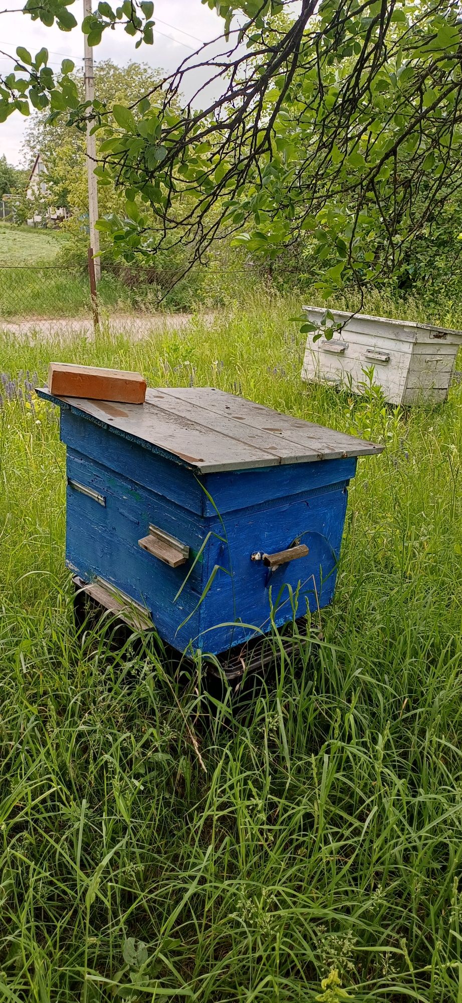 Продам вулики без бджіл