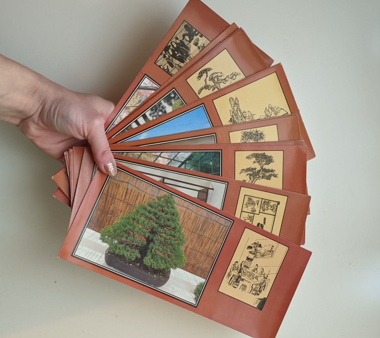 Pack postais sobre Bonsai do Japão