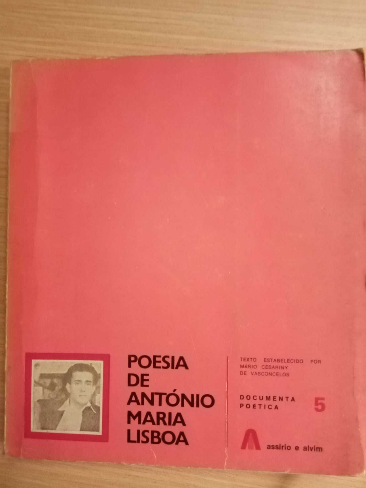 Poesia de António Maria Lisboa com texto de Mário Cesariny