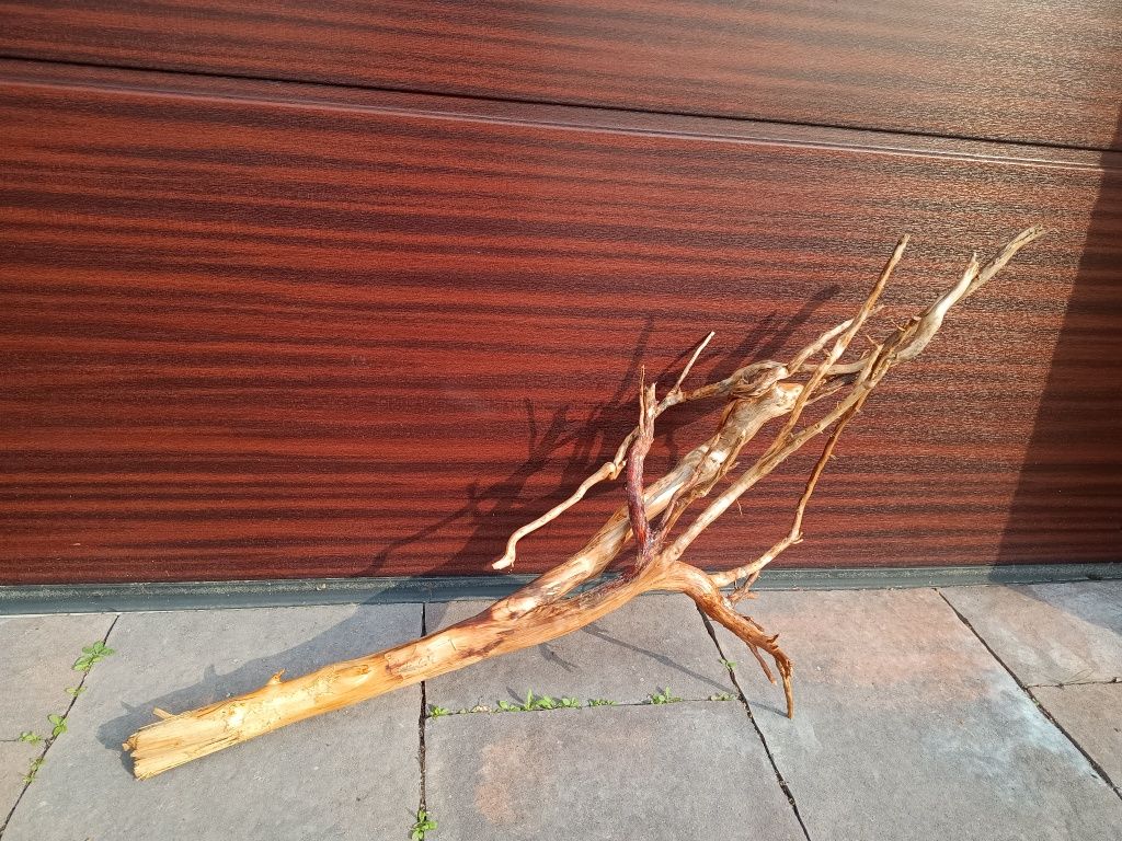 Bardzo ładny, długi naturalny korzeń do akwarium