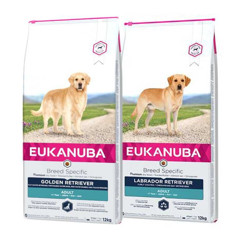 PORTES GRÁTIS - Eukanuba Labrador e Golden Retriever 12kg
