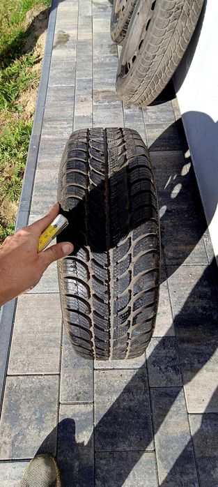 Opony zimowe Dębica Frigo2 175/65/R14