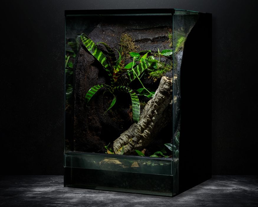 Terrarium 40x40x60 gekon paludarium vivarium