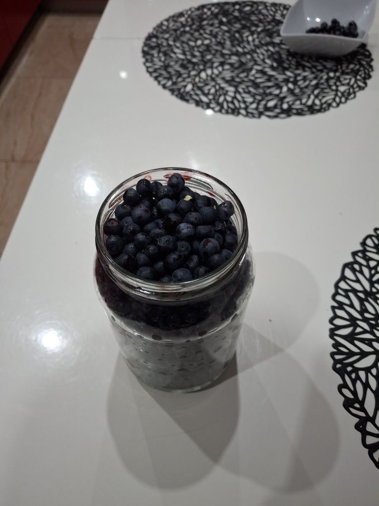 Borówka lesna  zbierana na zamowienie