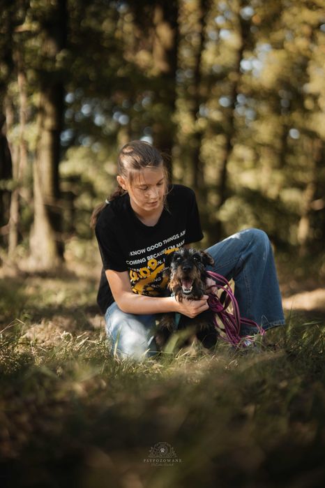 Twix – wierne psie serce szuka kogoś, kto go pokocha