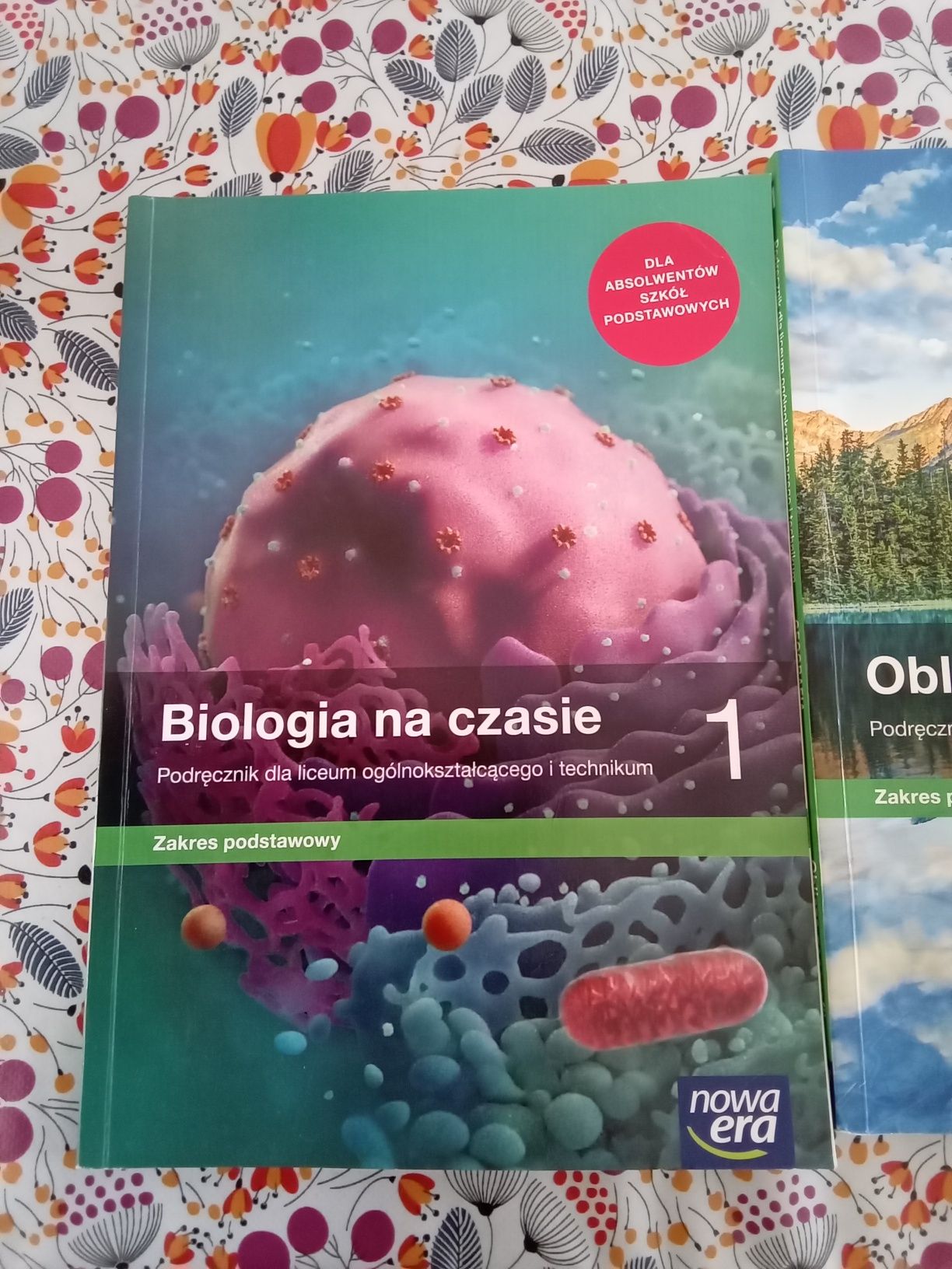 Książki 1 LO i Technikum