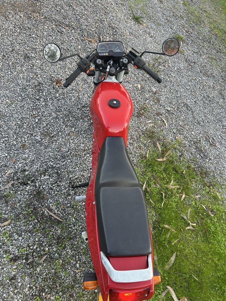 Casal Magnum 50cc