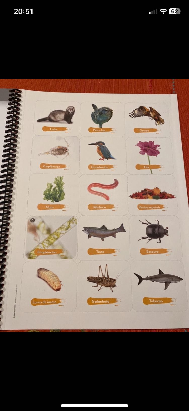 Missão Ambiente 8 - Caderno de atividades - 8 ano