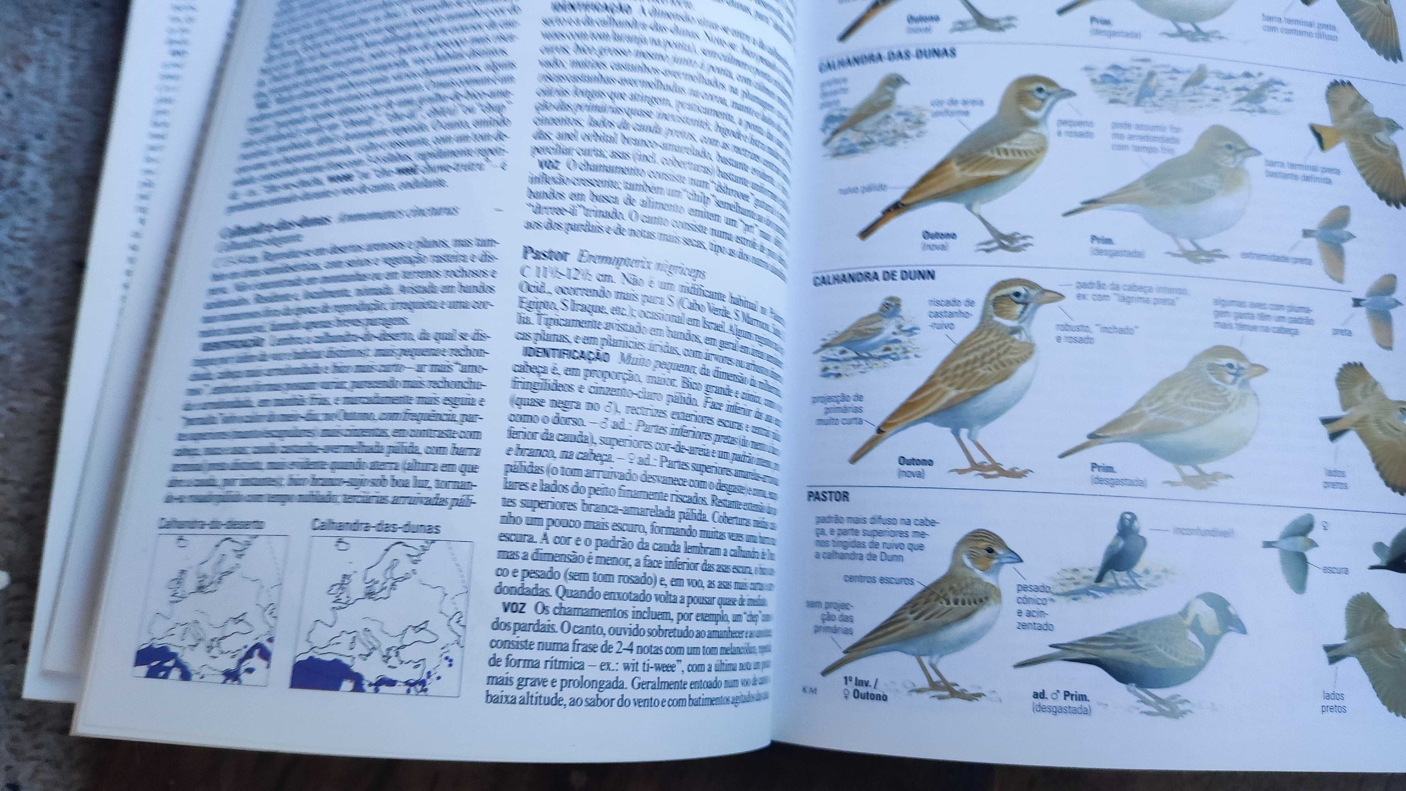 Guia de aves - impecável no interior, capa como se mostra nas fotos