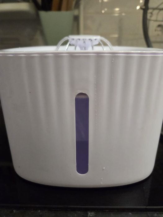 Caixa de areia Gatos