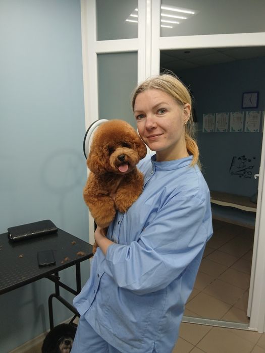 Грумер для собак