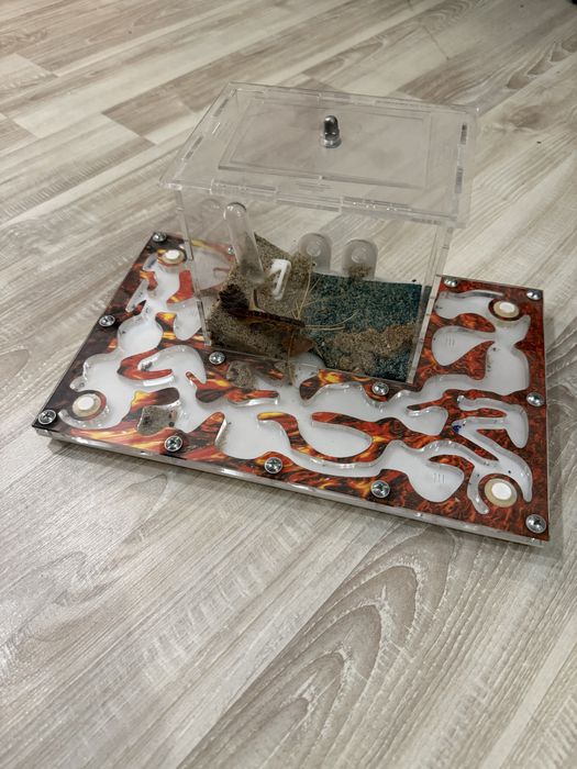 Formikarium Terrarium dla mrówek używane