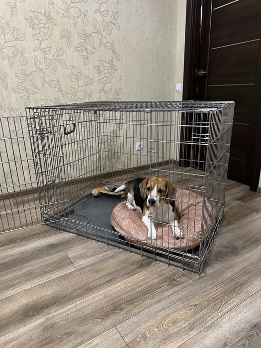 Клітка для тварин (клітка для собаки)
