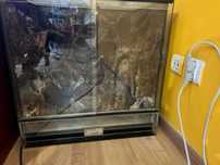 Terrarium 60x45x60