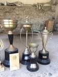 Taças/Troféus Caça