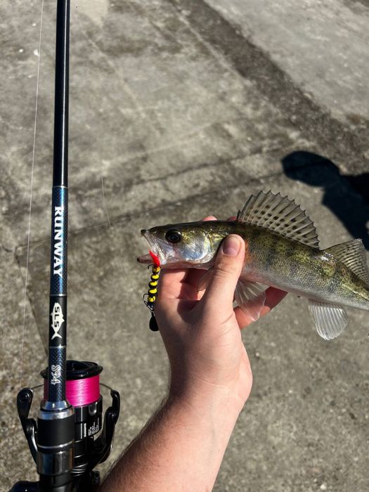 Xesta runway 94 1-30 грам.