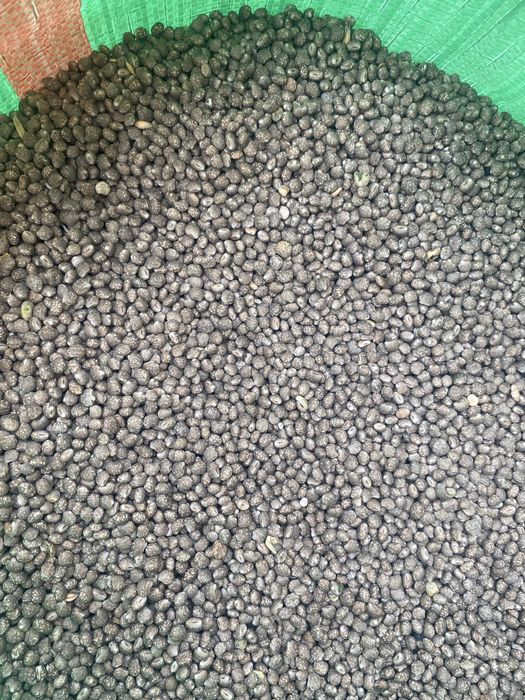 Sprzedam łubin niebieski ,młynkowany(oczyszczony)