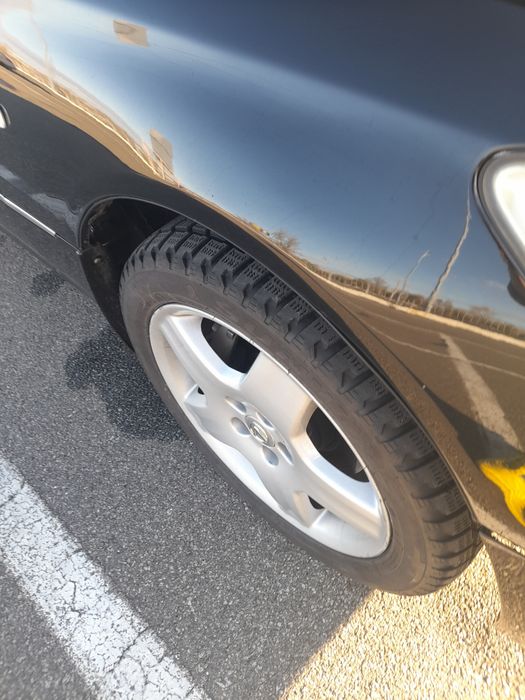 Продам "японського кабана"