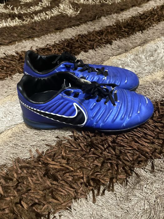 Сороконіжки олх