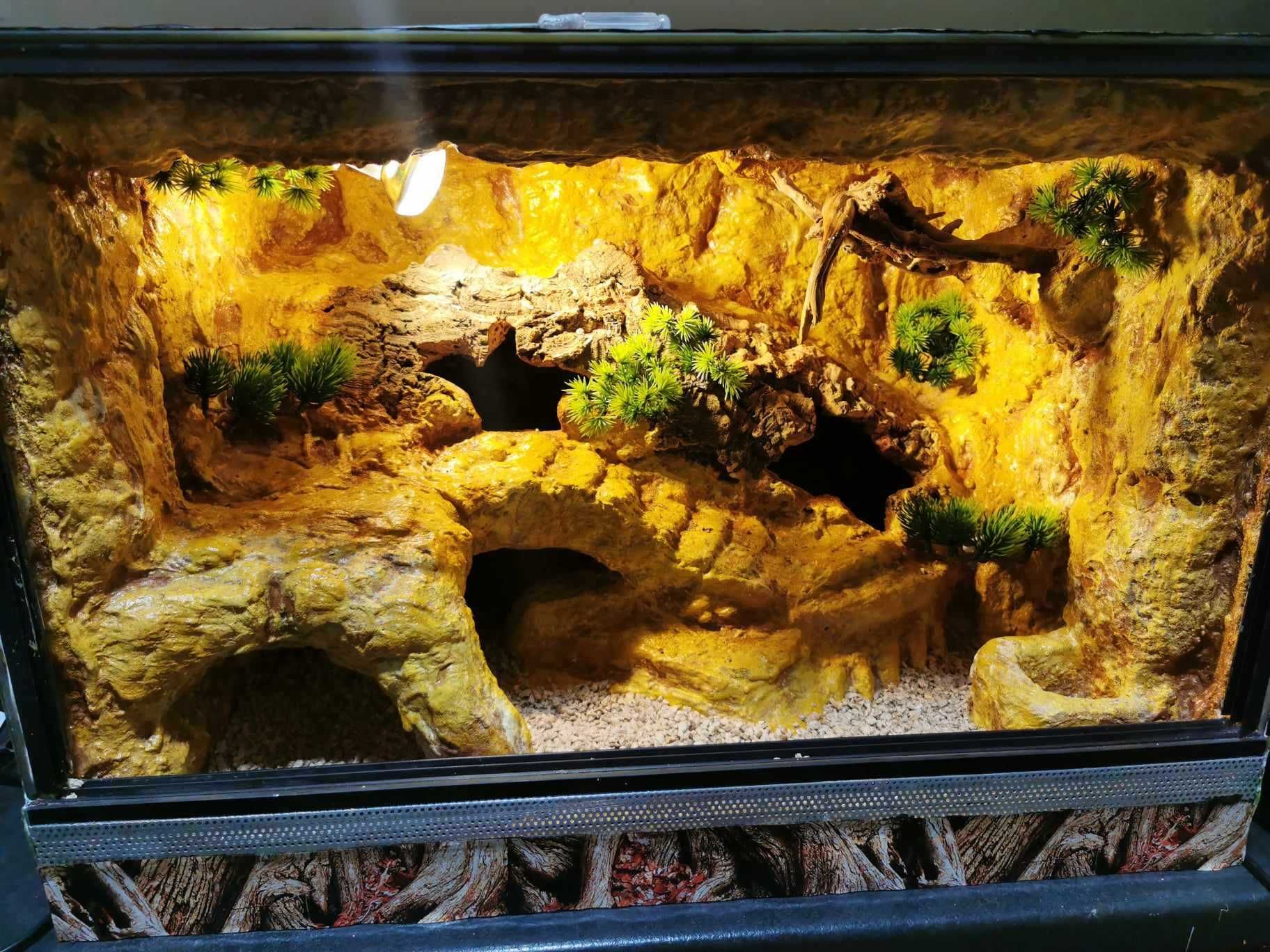 Terrarium dla gekona - gekon lamparci