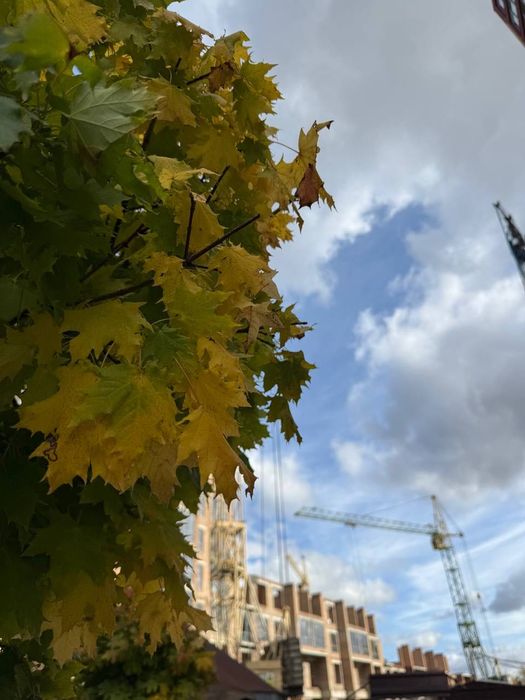 1-кімнатна в центрі міста на 6 поверсі!