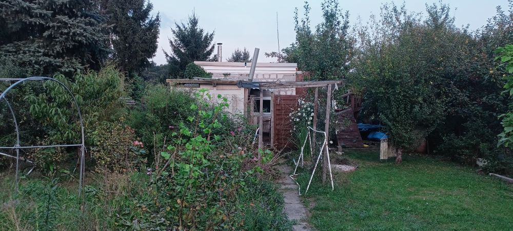 Działka Rod Pod Lasem ogród działkowy Kozanów