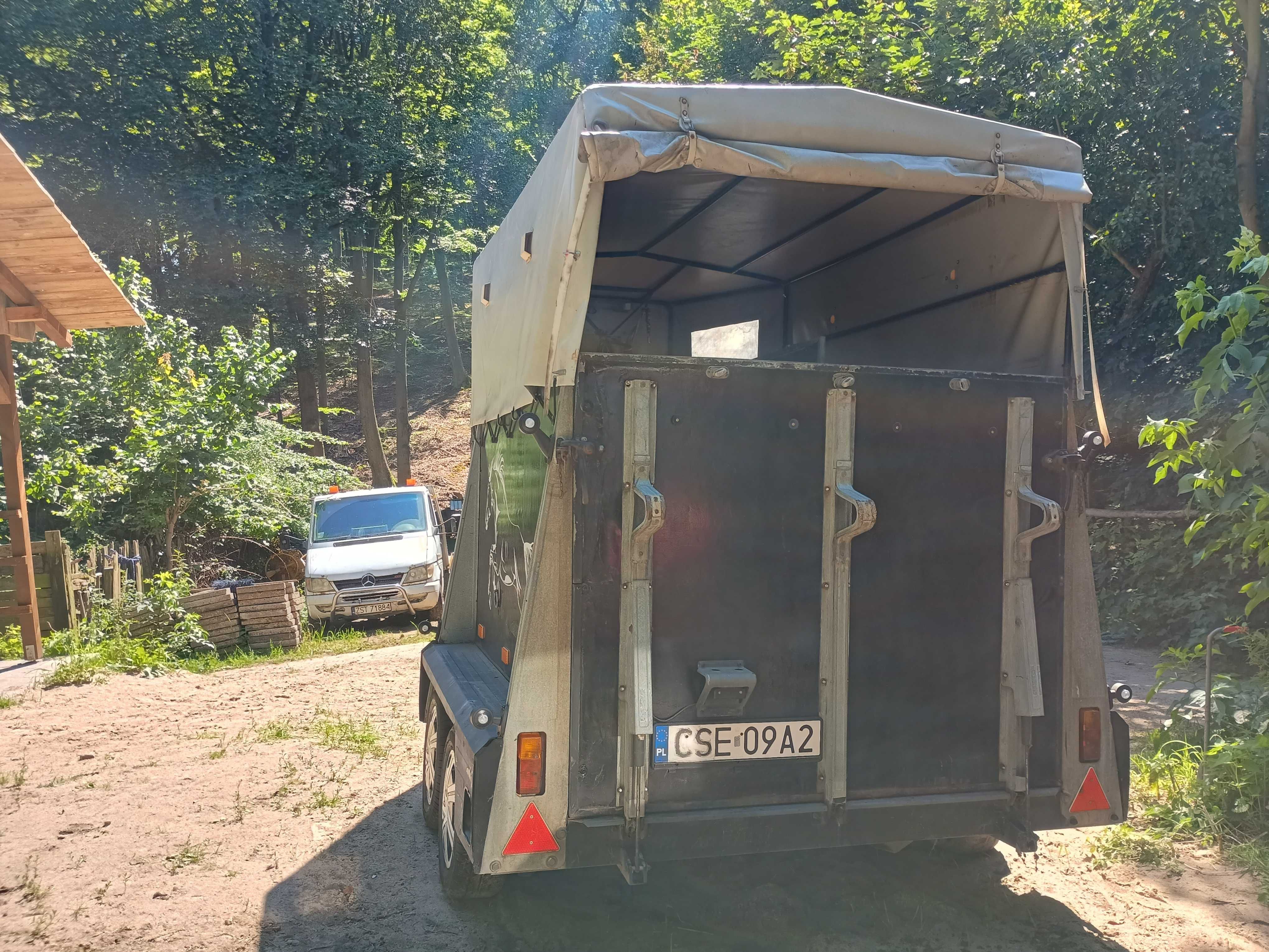 Przyczepa do przewozu koni