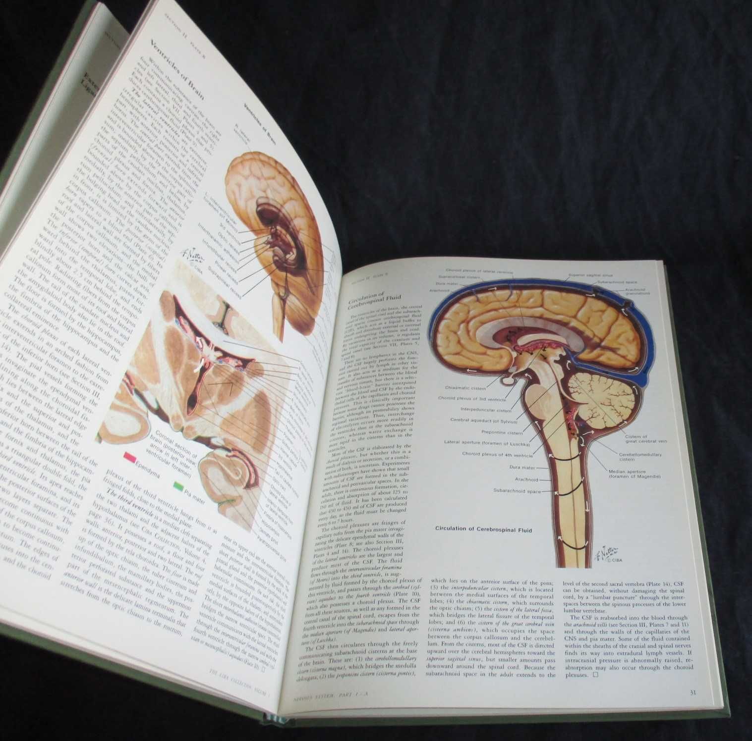 Livros The Ciba Collection Of Medical Illustrations Nervous System