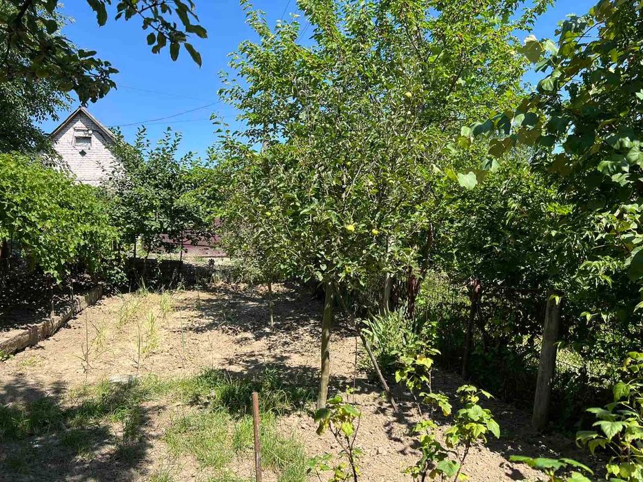 (5)   Продам дачу в с. Щітки  8116