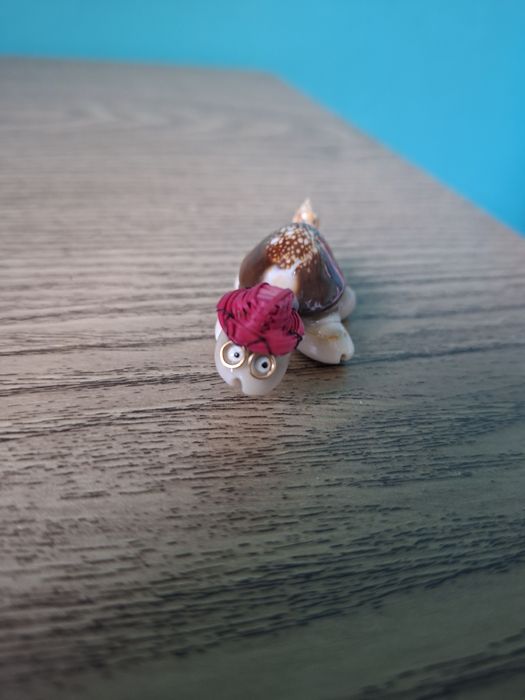 Pamiątka z wakacji znad morza żółw z muszelek muszelki wakacje Pamiątk