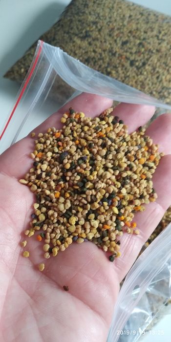 Pyłek pszczeli z własnej pasieki. Pszczoły ule miód 2025r.