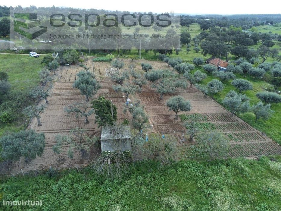 Quintinha 15 minutos Castelo Branco