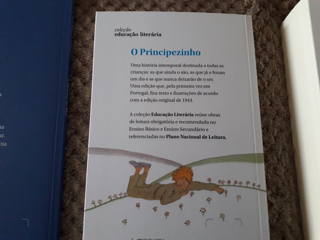 Livros novos O diário de Anne Frank, O Principezinho, A menina do mar,